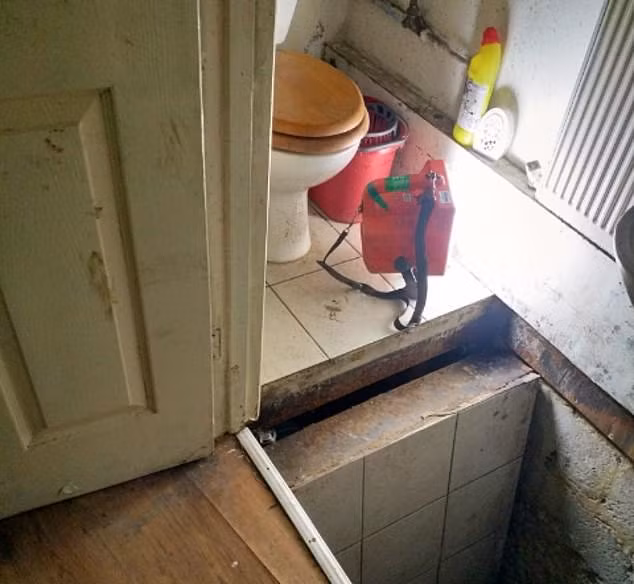 Phát hiện trang trại cần sa hoạt động trót lọt hàng chục năm dưới lòng đất ảnh 1 Phat hien trang trai can sa duoi long dat hinh anh 1