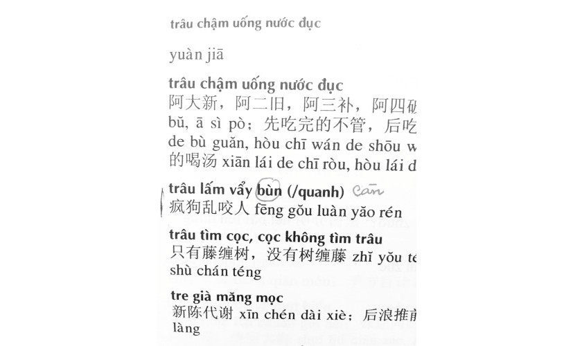 Những lỗi “dị bản” thường gặp trong cuốn từ điển.