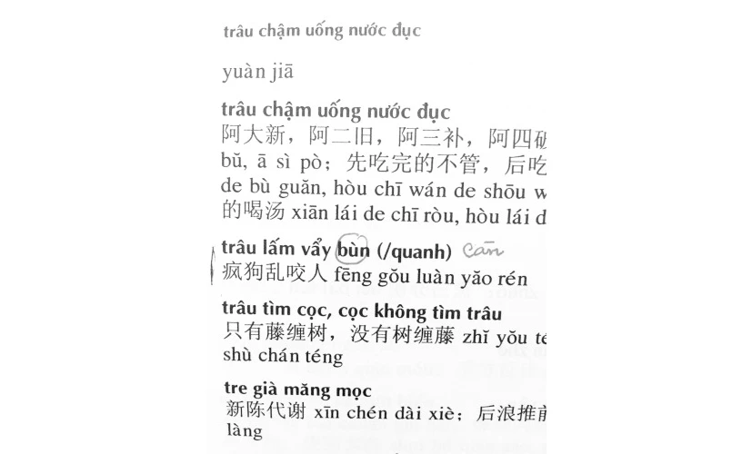 Những lỗi “dị bản” thường gặp trong cuốn từ điển.