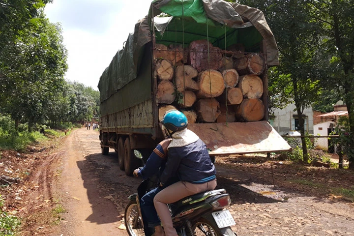 Biên phòng nổ súng trấn áp, 20 lâm tặc vẫn cướp xe chở gỗ
