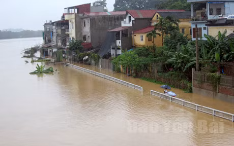 De phong lu tren cac song o Bac Bo - Anh 1