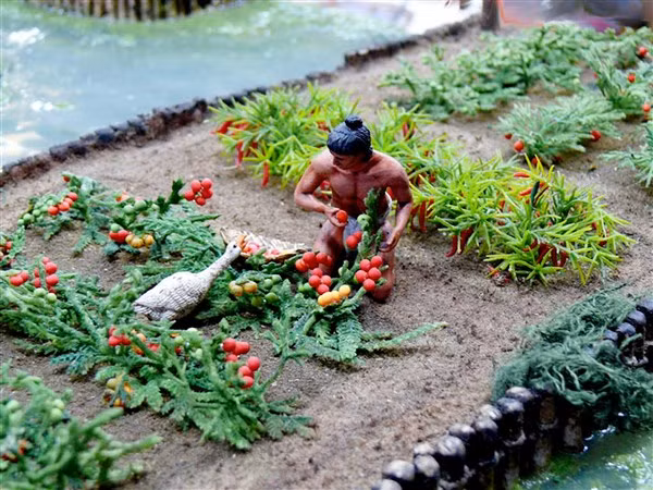 Độc đáo ruộng nổi trên hồ Aztecs ảnh 4