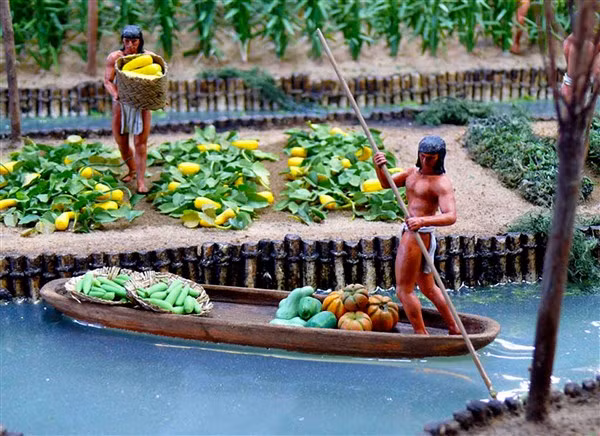 Độc đáo ruộng nổi trên hồ Aztecs ảnh 3