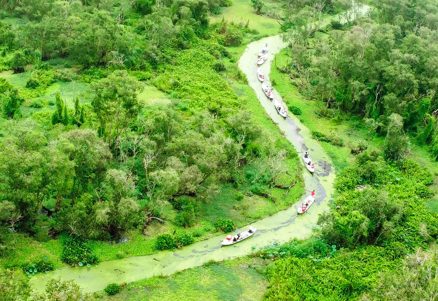 Điểm Du lịch sinh thái rừng tràm Trà Sư nhìn từ trên cao. Ảnh: Thành Thật Điểm Du lịch sinh thái rừng tràm Trà Sư nhìn từ trên cao. Ảnh: Thành Thật
