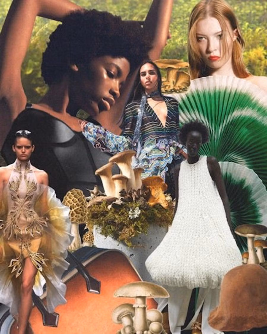 Nấm sẽ là nguyên liệu chính của ngành thời trang thế giới.