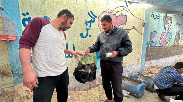 Người bán chim Dedar (trái) đồng ý bán cho ông Raed al-Qudra, người có 6 đứa con tìm thấy niềm an ủi trong tiếng chim hót. Ảnh: Mohamed Soleimane/Al Jazeera