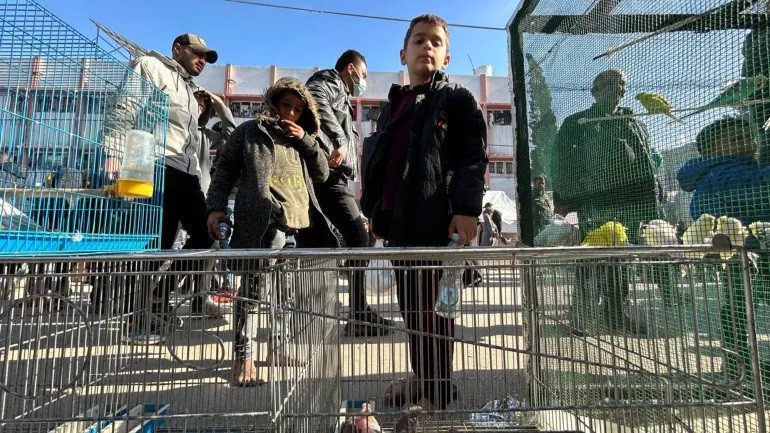 Không phải ai cũng có đủ khả năng để mua chim, nhưng nhiều người vẫn đến đây để thưởng thức màu sắc và tiếng hót líu lo yên bình. Ảnh: Mohamed Soleimane/Al Jazeera