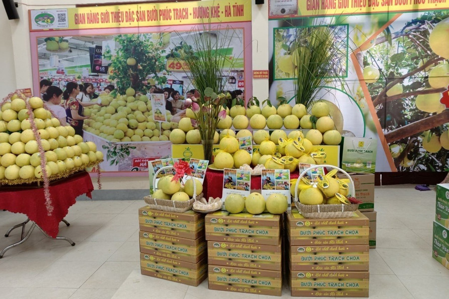 Bưởi Phúc Trạch được bày bán tại các gian hàng giới thiệu sản phẩm nông nghiệp (Ảnh: H.T). Bưởi Phúc Trạch được bày bán tại các gian hàng giới thiệu sản phẩm nông nghiệp (Ảnh: H.T).