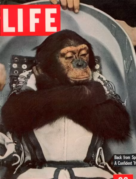 Ham được lên bìa báo LIFE sau khi thành công từ không gian trở về.