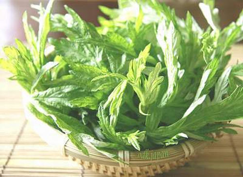 Công dụng hay từ cây ngải cứu