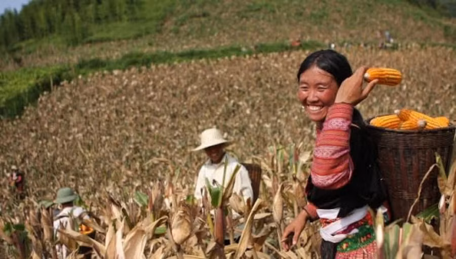 Thiên tai, dịch bệnh có thể làm gia tăng đáng kể số hộ nghèo. Thiên tai, dịch bệnh có thể làm gia tăng đáng kể số hộ nghèo.