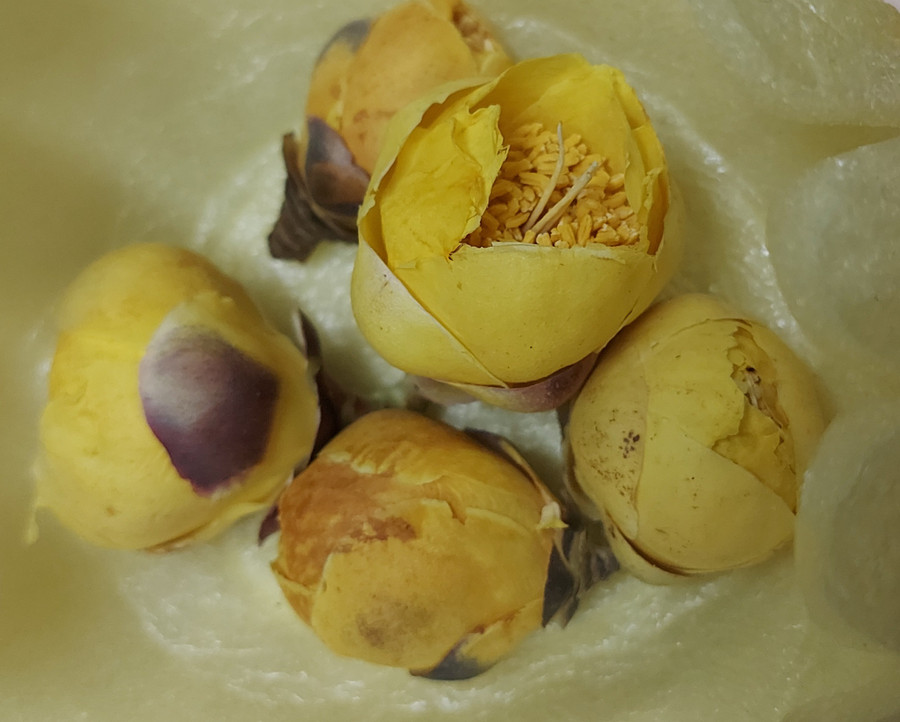 Ảnh: Quốc Bình.