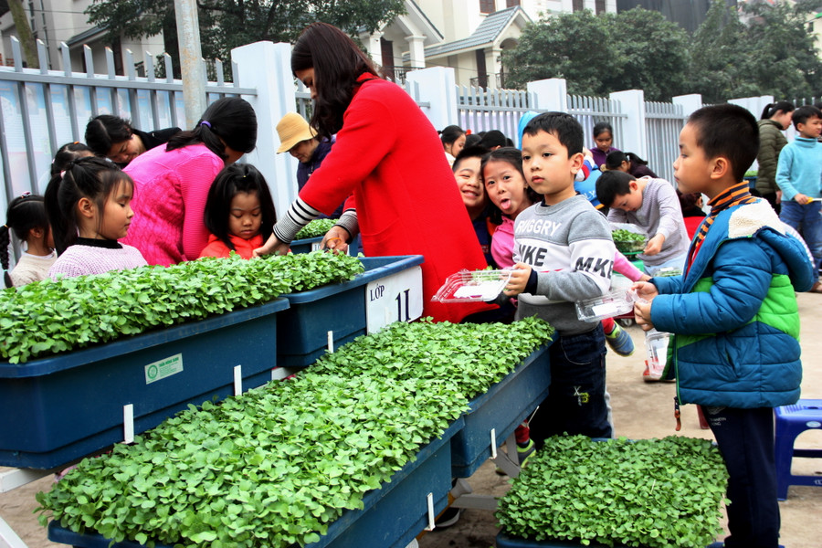 Cả các bé lớp 1 cũng biết trồng trọt rồi Cả các bé lớp 1 cũng biết trồng trọt rồi