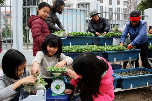 Cô Thủy cho biết, hoạt động này đã làm cho học sinh ngay từ lớp một đã biết công việc trồng trọt, biết quý trọng sản phẩm nông nghiệp cũng như giá trị của sức lao động, thức ăn hàng ngày Cô Thủy cho biết, hoạt động này đã làm cho học sinh ngay từ lớp một đã biết công việc trồng trọt, biết quý trọng sản phẩm nông nghiệp cũng như giá trị của sức lao động, thức ăn hàng ngày