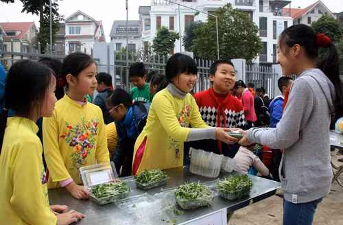 Mỗi chậu rau thu hoạch được 5 hộp rau, với giá 15.000 đồng/hộp. Số tiền thu được sẽ dùng gây quỹ lớp để tổ chức các hoạt động trải nghiệm khác.