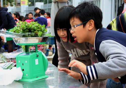 Không được rồi, hộp cải mầm tím này cân hơi tươi tắn hơn rồi thì phải. Các bạn trai đóng hộp, dán nhãn mác theo quy định. Không được rồi, hộp cải mầm tím này cân hơi tươi tắn hơn rồi thì phải. Các bạn trai đóng hộp, dán nhãn mác theo quy định.