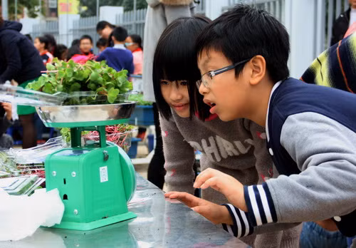 Không được rồi, hộp cải mầm tím này cân hơi tươi tắn hơn rồi thì phải. Các bạn trai đóng hộp, dán nhãn mác theo quy định.