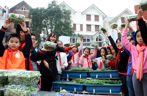 Đây là thành quả của cả lớp vất vả chăm sóc rau đến ngày thu hoạch. Cô Thủy cho biết từ tháng 9 đầu năm học cho đến nay, nhà trường đã trồng được 7 lứa rau cải mầm xanh và tím Đây là thành quả của cả lớp vất vả chăm sóc rau đến ngày thu hoạch. Cô Thủy cho biết từ tháng 9 đầu năm học cho đến nay, nhà trường đã trồng được 7 lứa rau cải mầm xanh và tím