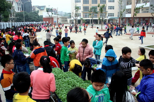 Với mục đích dạy cho trẻ ngay từ lớp 1 kỹ năng sống, ý thức bảo vệ môi trường, nhà trường đã phối hợp với một đơn vị giống cây trồng dạy cho trẻ biết trồng rau cải mầm Với mục đích dạy cho trẻ ngay từ lớp 1 kỹ năng sống, ý thức bảo vệ môi trường, nhà trường đã phối hợp với một đơn vị giống cây trồng dạy cho trẻ biết trồng rau cải mầm