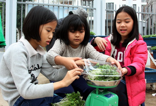 Những bé gái làm việc thuần thục như chơi đồ hàng Những bé gái làm việc thuần thục như chơi đồ hàng