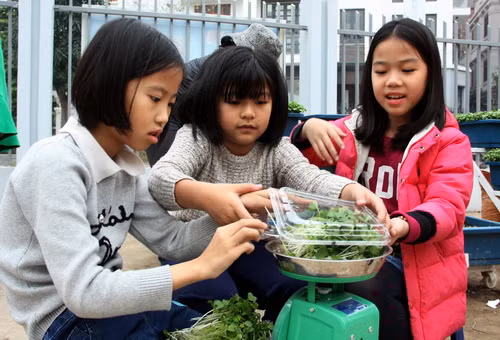 Những bé gái làm việc thuần thục như chơi đồ hàng