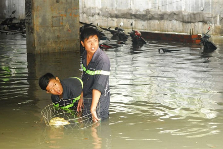 Mưa lịch sử ở Sài Gòn gây thiệt hại hàng trăm tỷ đồng