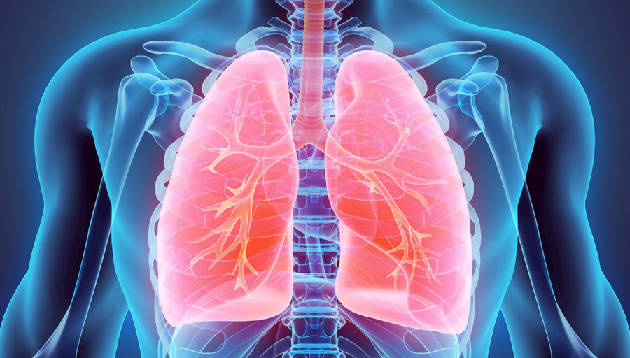 Lupus ban đỏ có thể dẫn đến các biến chứng nguy hiểm trên phổi. Ảnh minh họa Lupus ban đỏ có thể dẫn đến các biến chứng nguy hiểm trên phổi. Ảnh minh họa