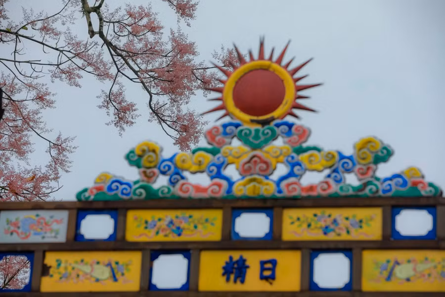 Cây ngô đồng được trồng trong Hoàng thành và các lăng tẩm của các vua triều Nguyễn và được vua Minh Mạng cho người khắc hình ảnh lên Nhơn Đỉnh trong Đại nội.