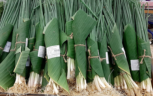 Thay vì sử dụng túi nilon, lá chuối vừa thân thiện với môi trường, vừa tiết kiệm chi phí. Thay vì sử dụng túi nilon, lá chuối vừa thân thiện với môi trường, vừa tiết kiệm chi phí.