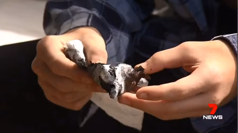 Tht may mắn khi axit không tạt vào mắt hay mặt Jay.