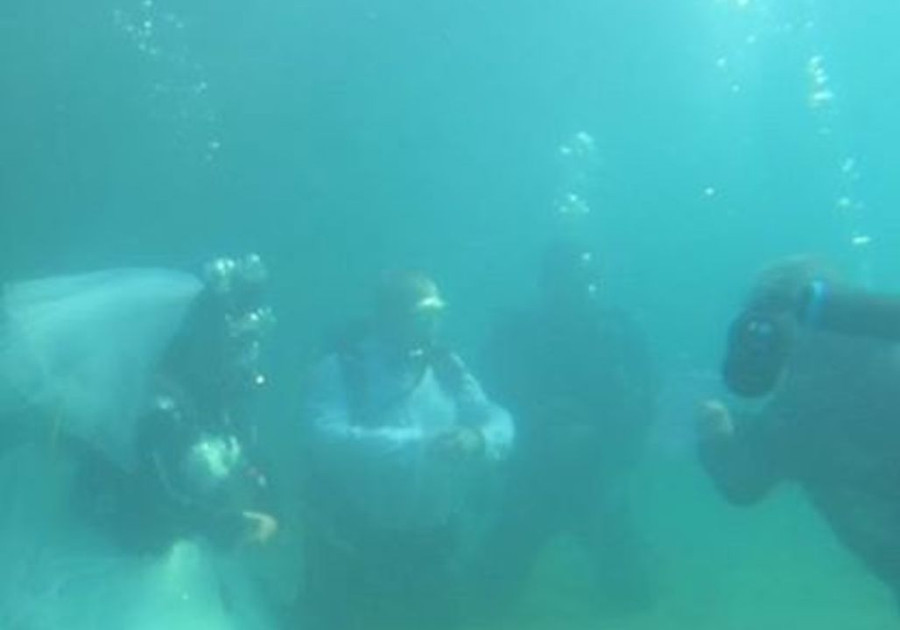 Hôn lệ độc đáo đã thu hút nhiều sự chú ý Hôn lệ độc đáo đã thu hút nhiều sự chú ý