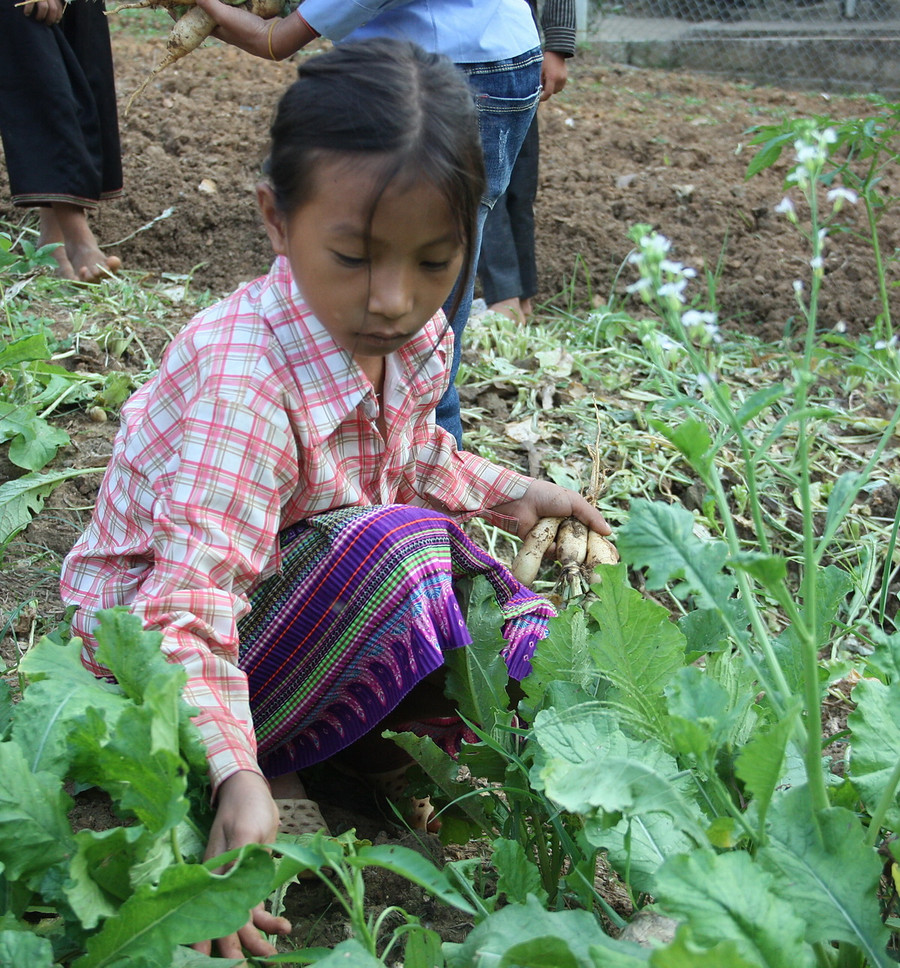 Em Giàng Thị Gống là người dân tộc Mông ở bản Suối Dầm đang học lớp 4 cho biết em rất thích đến trường vì có nhiều bạn chơi, các cô giáo ở trường rất yêu trẻ Em Giàng Thị Gống là người dân tộc Mông ở bản Suối Dầm đang học lớp 4 cho biết em rất thích đến trường vì có nhiều bạn chơi, các cô giáo ở trường rất yêu trẻ