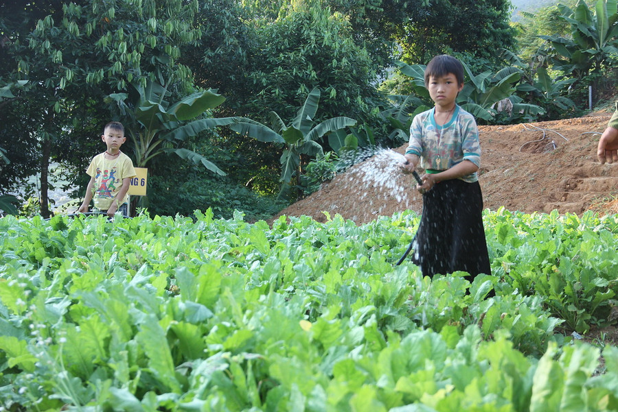 Trường có gần 2.000 mét vuông vườn tăng gia để học sinh trồng trọt ngoài giờ lên lớp Trường có gần 2.000 mét vuông vườn tăng gia để học sinh trồng trọt ngoài giờ lên lớp