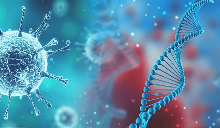 Ảnh minh họa/INT