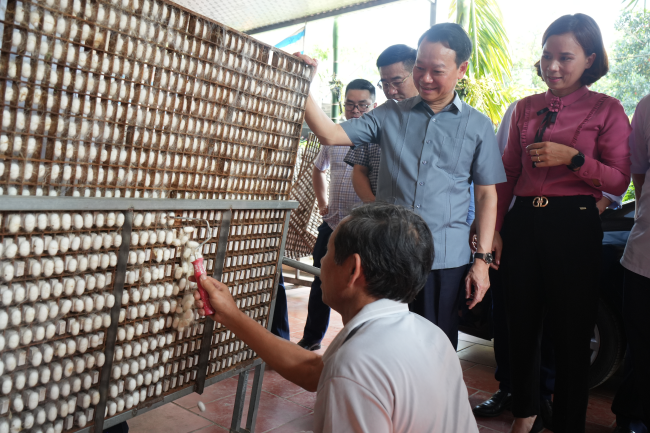 Mô hình trồng dâu nuôi tằm tại huyện Trấn Yên. Mô hình trồng dâu nuôi tằm tại huyện Trấn Yên.