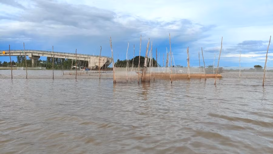 Nước lũ đầu nguồn tỉnh An Giang gây ngập sâu vùng nội đồng.