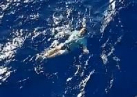 Nhờ có chiếc quần bò, anh đã sống sót sau hơn 3 tiếng dưới nước