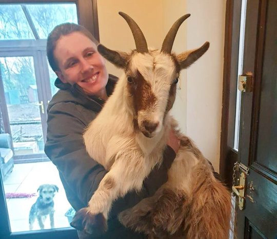 Belle đã được đón về với gia đình Belle đã được đón về với gia đình