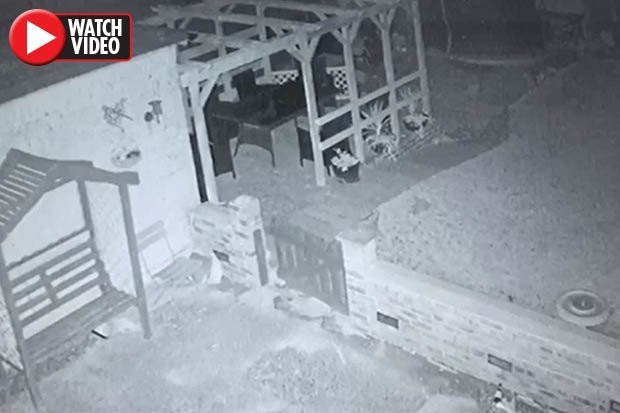 Anya cho rằng, những hiện tượng khó hiểu xảy ra do người bố chồng đã qua đời muốn được biết đến sự hiện diện của ông.