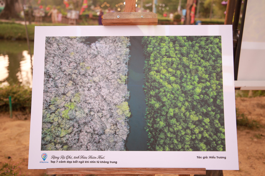 Rừng Rú chá, tỉnh Thừa Thiên Huế lọt Top 7 cảnh đẹp bất ngờ khi nhìn từ không trung. Rừng Rú chá, tỉnh Thừa Thiên Huế lọt Top 7 cảnh đẹp bất ngờ khi nhìn từ không trung.