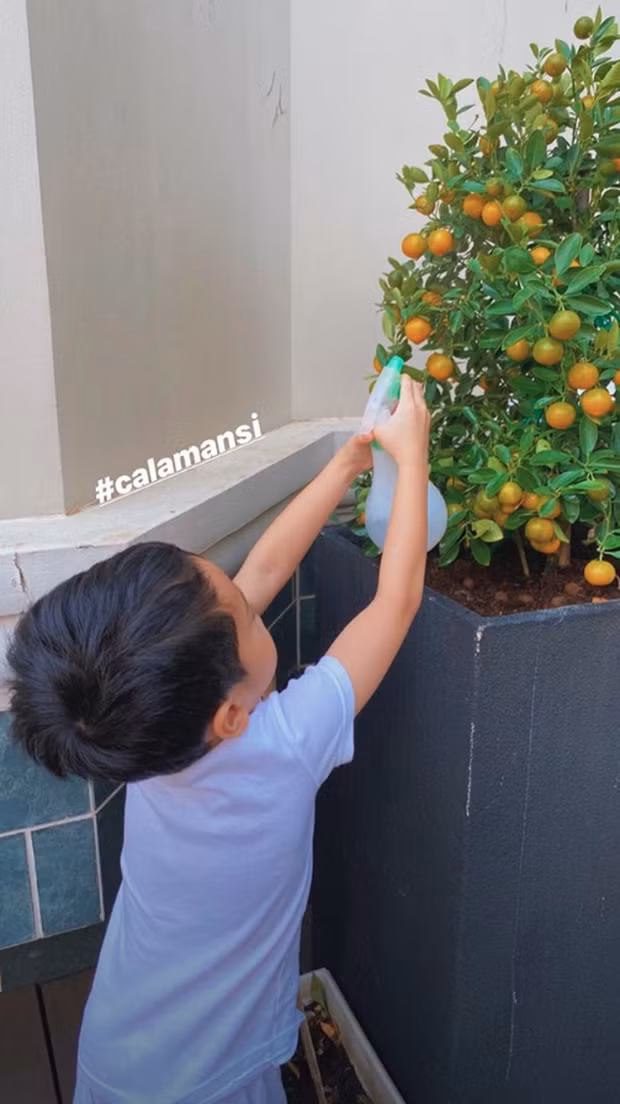 Bé Richard đã biết chăm soc sân vườn nhà mình