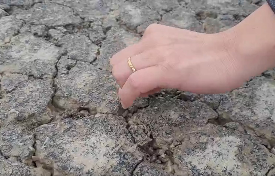 Những kết cấu tại vết nứt chỉ cần tác động nhẹ là bong tróc bề mặt thảm. (Ảnh: Tiến Hiệp). Những kết cấu tại vết nứt chỉ cần tác động nhẹ là bong tróc bề mặt thảm. (Ảnh: Tiến Hiệp).