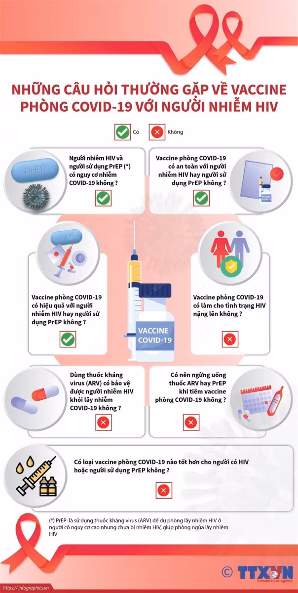 Ảnh: Infographics.vn.