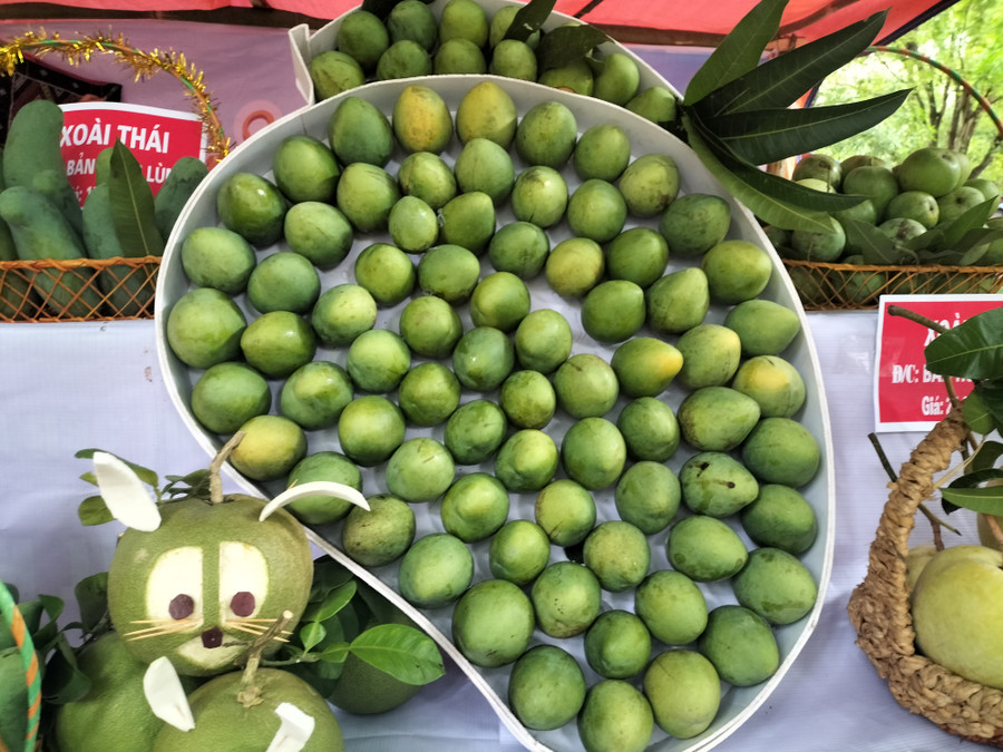 Các mặt hàng trái cây được trưng bày tại ngày hội.