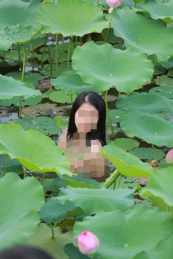 Loạt ảnh khỏa thân, tạo dáng phản cảm của cô gái dưới đầm sen bị “ném đá” dữ dội.