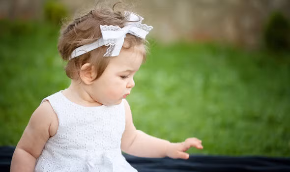 Ảnh minh hoạ Ảnh minh hoạ