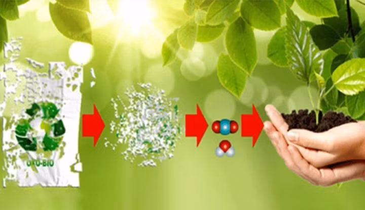 Phân hủy sinh học rác thải nilon công nghệ made in Việt Nam