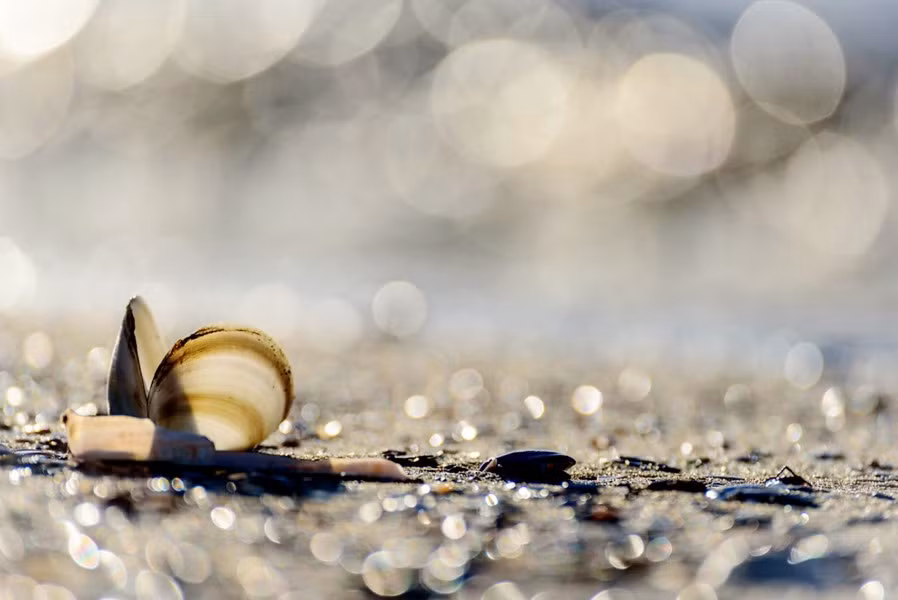 Những bãi biển kỳ lạ ảnh 10