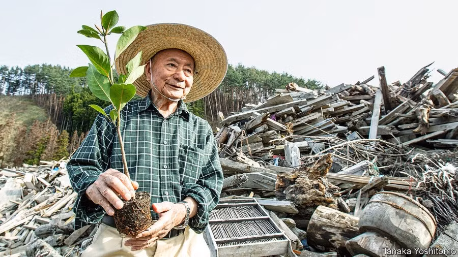 Nhà sinh thái thực vật học Miyawaki Akira (1928 – 2021).
