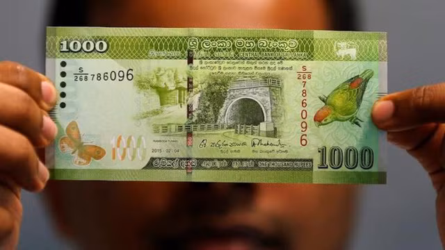 Ảnh minh họa/INT